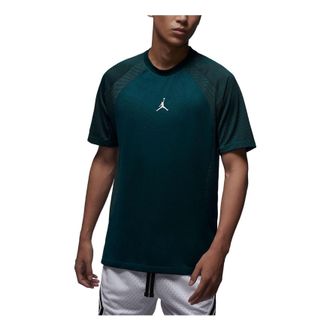 Nike Jordan Air Jordan Dri-FIT ADV Sport Logo T-Shirt Green DZ0576-336