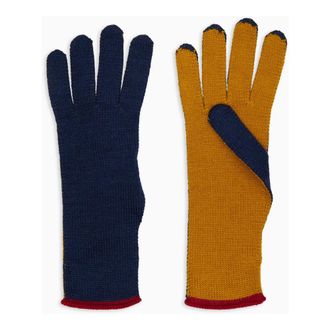 Gallo Gallo, Accessoires, Dames, Veelkleurig, ONE Size, Wol, Wollen, Zijden en Kasjmier Handschoenen