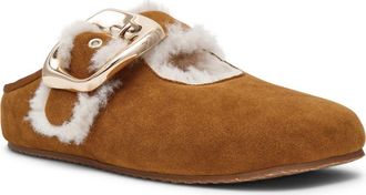 Steve Madden Cloudy Faux Shearling Mule in Chestnut at Nordstrom, Size 6.5