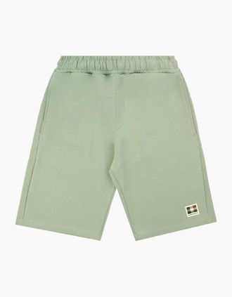 Aquascutum Mens Aquascutum Badge Cotton Shorts Sage Green - Size: 37/36/32