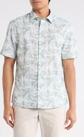 Robert Barakett Hewitt Cotton Button-Up Shirt in Aqua Green at Nordstrom Rack, Size Xx-Large