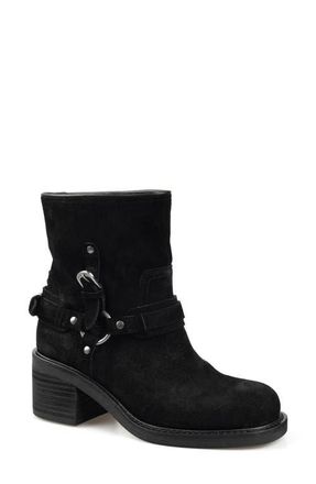 Candie's Fridda Moto Bootie in Black at Nordstrom, Size 11