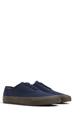 Sperry Top-Sider Top-Sider CVO Sneaker in Navy at Nordstrom Rack, Size 7.5