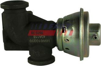 OEM V&aacute;lvula Egr Ft60233 R&aacute;pida