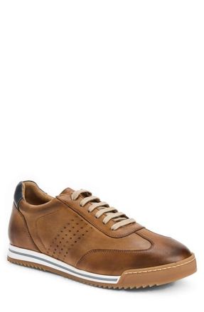 Bruno Magli Brozzi Low Top Leather Sneaker in Cognac Calf at Nordstrom, Size 11.5