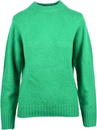 Aspesi Truien & Vesten, Dames, Groen, M, Wol, Maglione Girocollo
