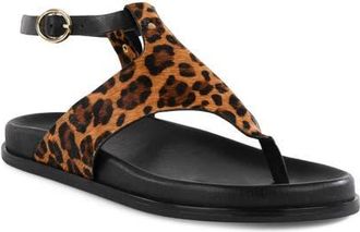 Seychelles In the Zone Ankle Strap Platform Sandal in Leopard at Nordstrom, Size 11