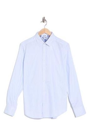 Robert Graham Washburn Stretch Cotton Button-Up Shirt in Light Blue at Nordstrom Rack, Size Xxx-Large