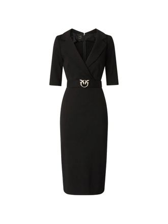 Pinko Arnebia Dress