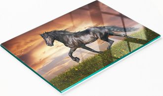 OEM Tabla De Cocina De Vidrio Templado Duradera Y Elegante Con Estampado De Caballos, 80x52 Cm