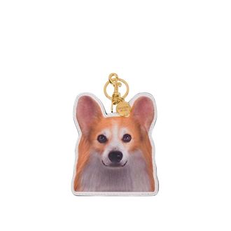 Moschino Keyrings, unisex, Multicolor, Size: ONE SIZE Printed Keychain