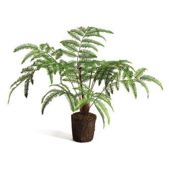 Napa Home & Garden Forest Fern Faux (Fake) Drop-In 29.5 in Green at Nordstrom