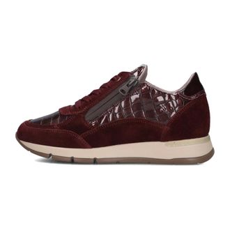 DL Sport Dames, Schoenen, Bruin, Maat: 42 EU