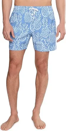 Chubbies The Thighnapples 5.5 (Classic Lined Swim Trunks) Mens Swimwear Medium Blue : 2XL, Polyester/Spandex