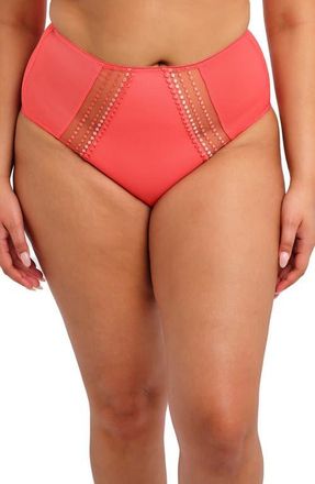 Elomi Matilda Full Figure Embellished Briefs in Sunset at Nordstrom, Size 3X-Large