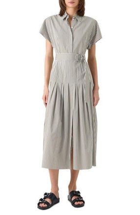 Akris Belted Kodak Stripe Cotton Shirtdress in Green Tea-Cream at Nordstrom, Size 12
