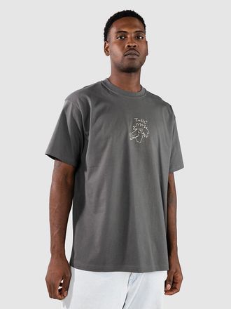 Iriedaily New Theory T-Shirt grau