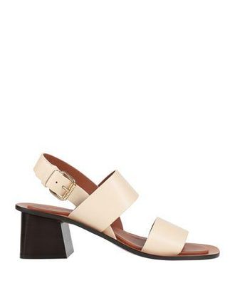Mansur Gavriel SANDA