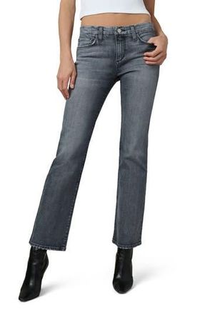Joe's The Provocateur Bootcut Jeans in No Peeking at Nordstrom Rack, Size 24P