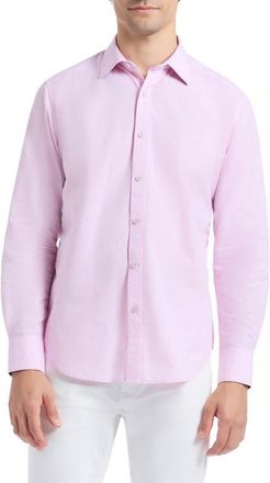 Robert Graham Avondale Cotton Button-Up Shirt in Light Pink at Nordstrom, Size Xxx-Large