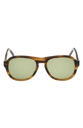 Abercrombie & Fitch 55mm Oval Sunglasses in Beige Horn /Green at Nordstrom