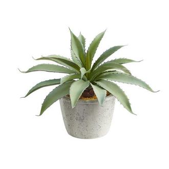 Nearly Natural 9-in Aloe Succulent Artificial Plant in Green at Nordstrom