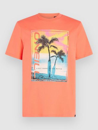 O'Neill Jack Neon T-Shirt rot