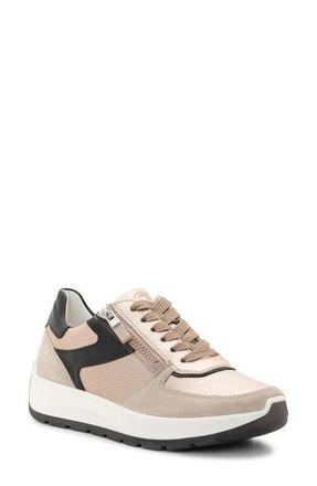 Ara Nagano Sneaker in Sand/Shell/Black at Nordstrom, Size 11.5