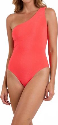 Rio de Sol Malibu Folia One Piece Swimsuit In Sienna