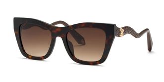 Roberto Cavalli SRC129M 0743 Mens Sunglasses Tortoiseshell Size 54