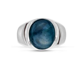LuvMyJewelry Dark Blue Apatite Sterling Silver Men Signet Ring