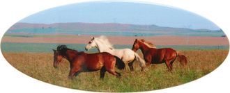 CHUNKS Horse Girl Oval Barrette in Multi Green at Nordstrom