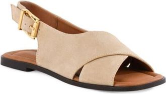 Seychelles Good Hearted Slingback Sandal at Nordstrom, Size 6.5
