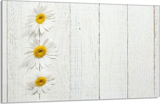 OEM Placa De Protecci&oacute;n De Estufa De Vidrio 80x52 Le&ntilde;a