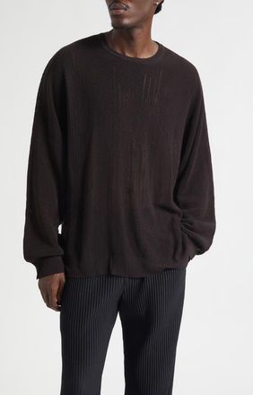 Homme Pliss&eacute; Issey Miyake Brush Close-Up Crewneck Sweater in Brown at Nordstrom