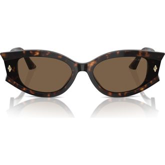 Jimmy Choo London 61mm Oval Sunglasses in Havana /Dark Brown at Nordstrom