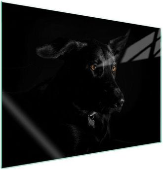 OEM Placa Protectora De Vidrio Para Estufa 70x52 Perro