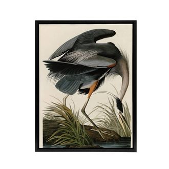Artery8 Audubon Birds Great Heron Painting Framed Canvas Wall Art Print | Size: W24 x H32