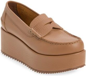 Pedro Garcia Nusa Loafer in Chestnut Cervo at Nordstrom, Size 39.5