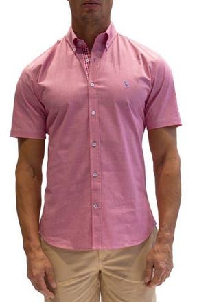 Tailorbyrd Micro Gingham Stretch Cotton Short Sleeve Button-Down Shirt in Fuchsia at Nordstrom Rack, Size Medium