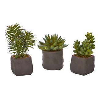 Nearly Natural Mixed Succulent Trio Artificial Plant in Green at Nordstrom