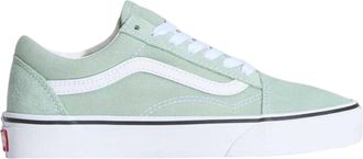 Vans Dames/Dames Old Skool Suede Platform Schoenen (Vorstgrijs)