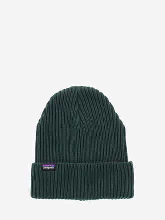 Patagonia Fishermans rolled beanie cascade green