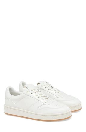 Gianvito Rossi Slam Sneakers in White Calf at Nordstrom, Size 40.5