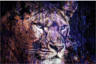 Schubiger M&ouml;bel Digitaldruck auf Acrylglas L&ouml;we in Blau