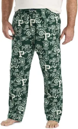 Polo Ralph Lauren Big & Tall Printed Lounge Pants in Green at Nordstrom, Size 2X Big
