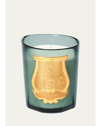 Cire Trudon Figuerie Classic Candle, 9.5 oz