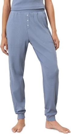 Pact Dream Rib Jogger in Iris Blue at Nordstrom, Size Xx-Large