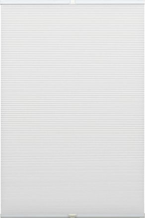 Gardinia Wabenplissee »Concept Thermo-Abdunklung« verdunkelnd energiesparend mit Bohren verspannt energiesparend und abdunkelnd mit Thermobeschichtung