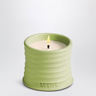 Loewe Candela piccola allessenza di pistacchio